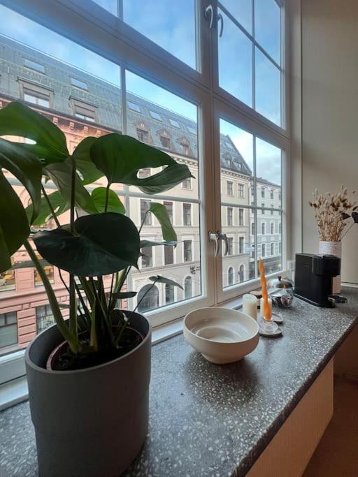 Koselig Leilighet I Sentrum Av Oslo Med Byutsikt! Kültér fotó