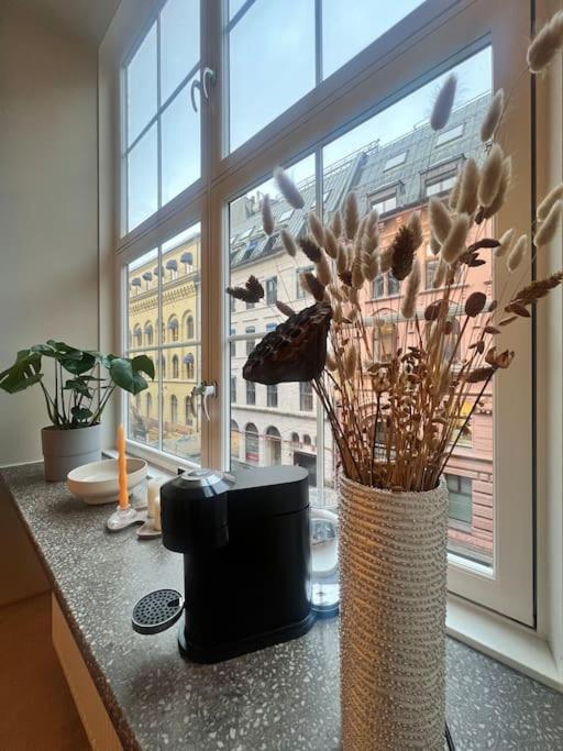 Koselig Leilighet I Sentrum Av Oslo Med Byutsikt! Kültér fotó